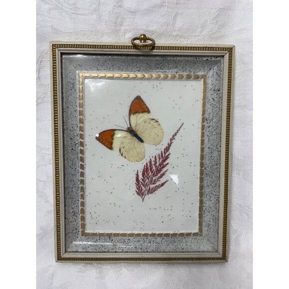 Vintage Butterfly Shadow Box Art Reliance Industries Glass Frame With Gold Detai - Picture 4 of 4